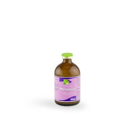 Phenylject
