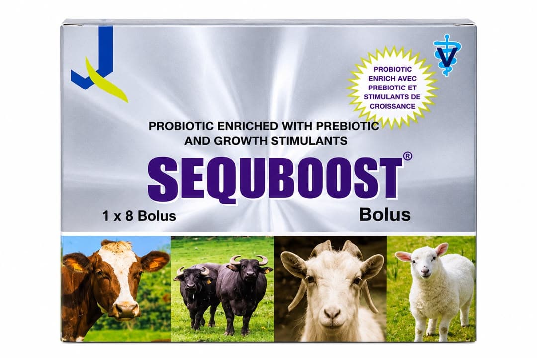SEQUBOOST BOLUS