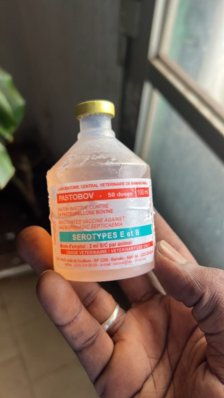 ANTHRAVAC