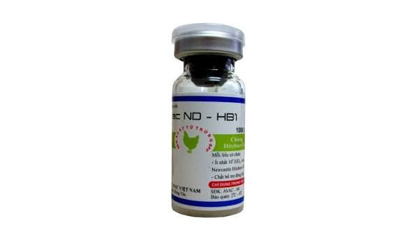 VACCIN HB1